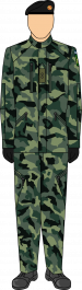 Field combat dress jungle.png