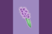 Purple Hyacinth Flag.png