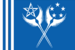Valkyrian flag (2020A).svg